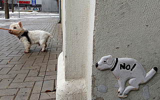 Mazurskie miasta zachęcają do sprzątania po swoich pupilach Mazurskie miasta zachęcają do sprzątania po swoich pupilach